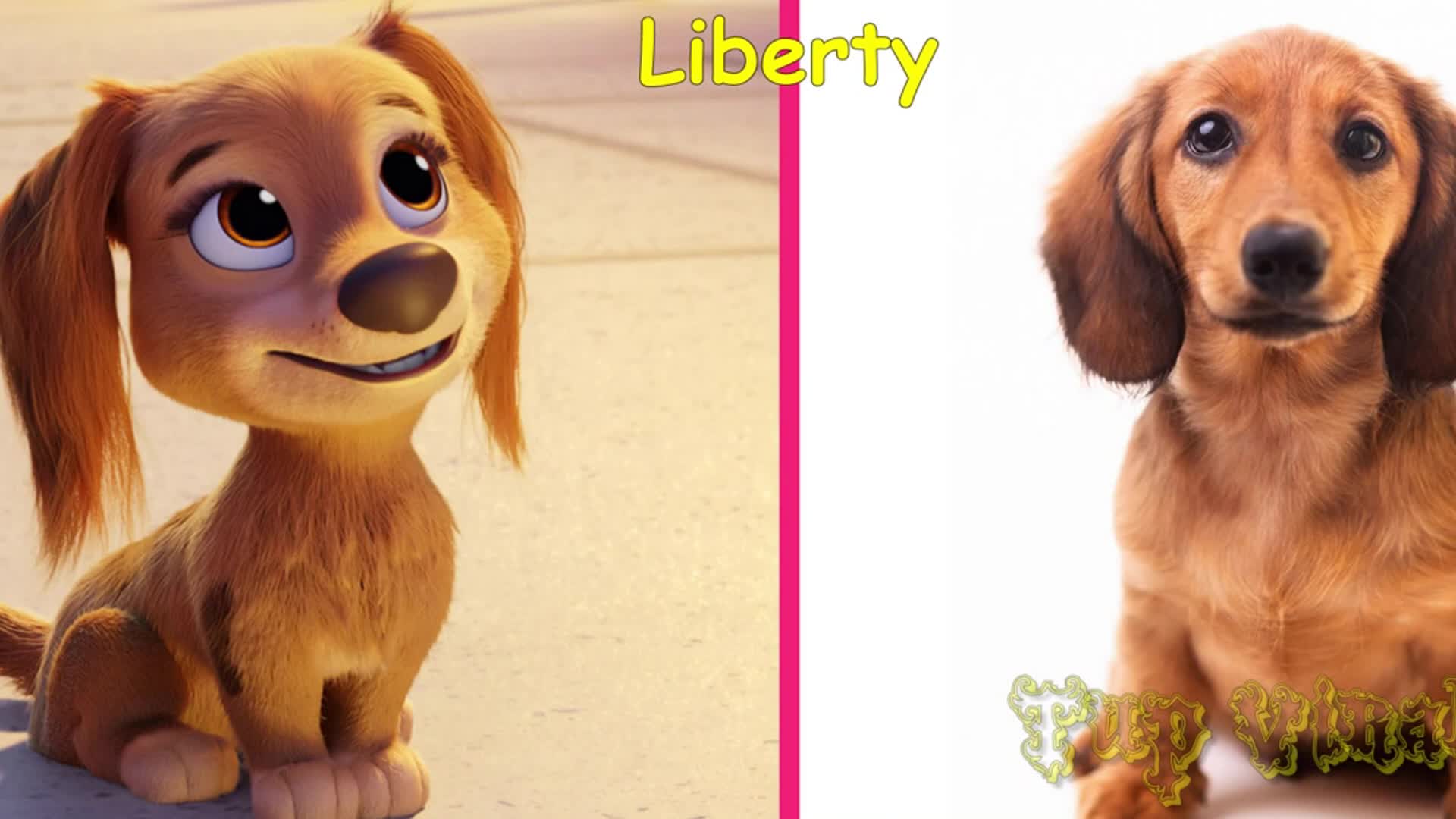 A fun look at the animated puppy Liberty and its real-life inspiration! See the adorable connection between the cartoon character and the sweet real dog. Great for little viewers who love dogs and animation! 🐾✨