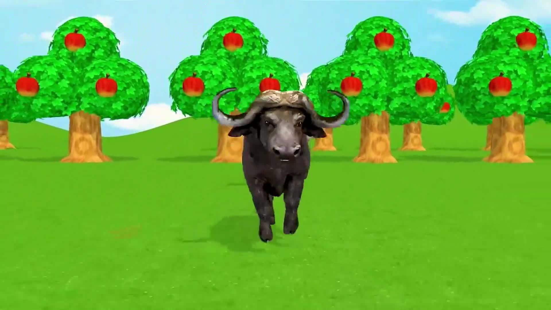 Watch this adorable buffalo running joyfully across a green meadow with rows of apple trees! 🍎 The trees are full of red, juicy apples, and the blue sky with fluffy clouds makes the scene so bright and cheerful. Can you count how many apples are on the trees? 😊✨