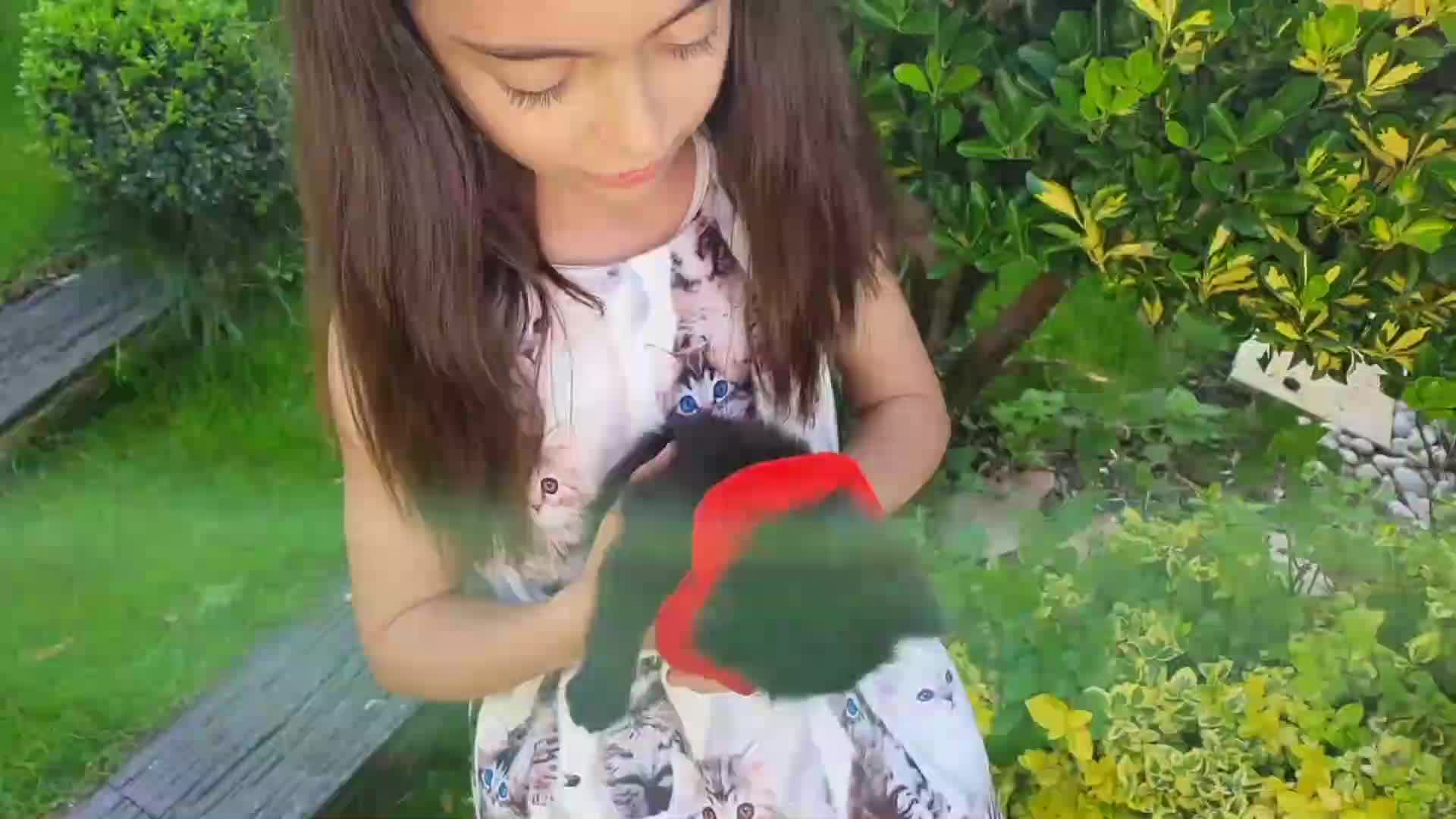 A sweet moment of a little girl gently holding her black kitten in a sunny garden! 🌱 The fluffy kitten looks so cozy in her arms, enjoying the warm day together. 🐾 Such a heartwarming scene of friendship between a kid and her feline friend! 😊
