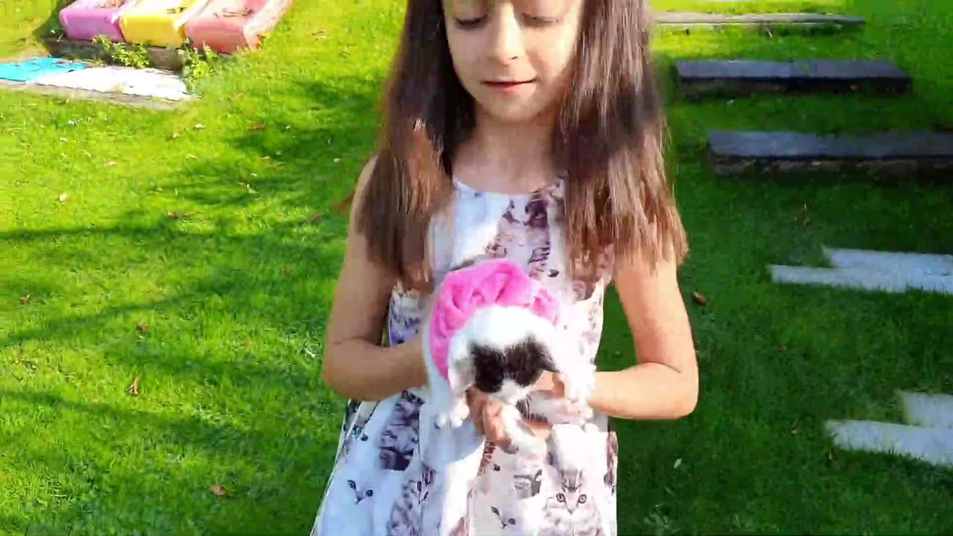 A sweet little girl holds her adorable kitten, who's wearing a cute pink scarf! They're playing in a sunny garden with green grass and colorful toys nearby—such a warm, heart-melting moment for cat and kid lovers! 🌸✨